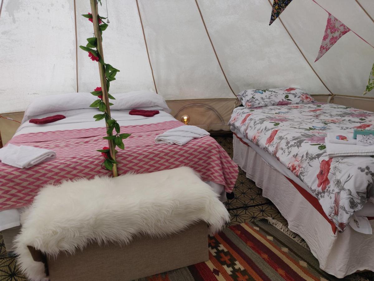 Glamping 3* Dunfanaghy